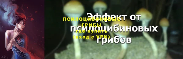 PSILOCYBIN Алексин