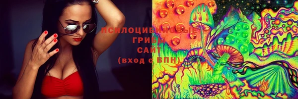 PSILOCYBIN Алексин